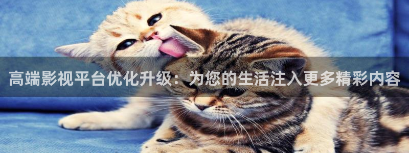 好電影99蜜桃：高端影視平臺(tái)優(yōu)化升級(jí)：為您的生活注入更多精彩內(nèi)容